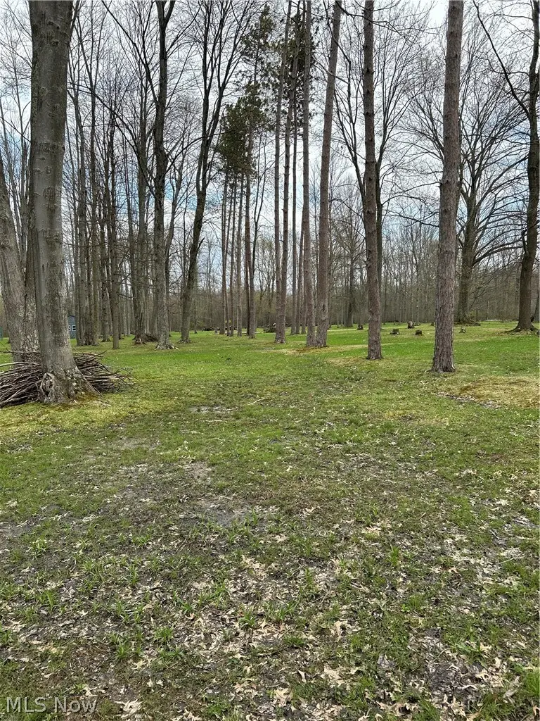 170 West Main St/ Us Rt 322, Orwell, OH 44076 - #3