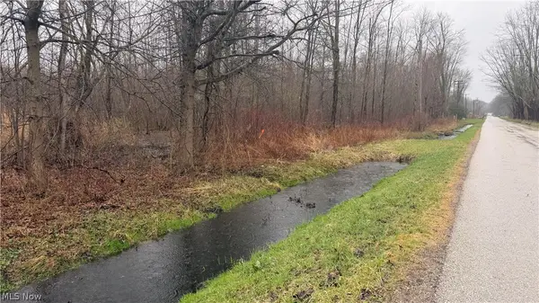 Ninevah Road, Geneva, OH 44041