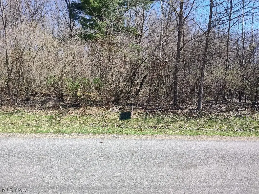 1302-03 Morning Star Drive, Roaming Shores, OH 44084 - #1