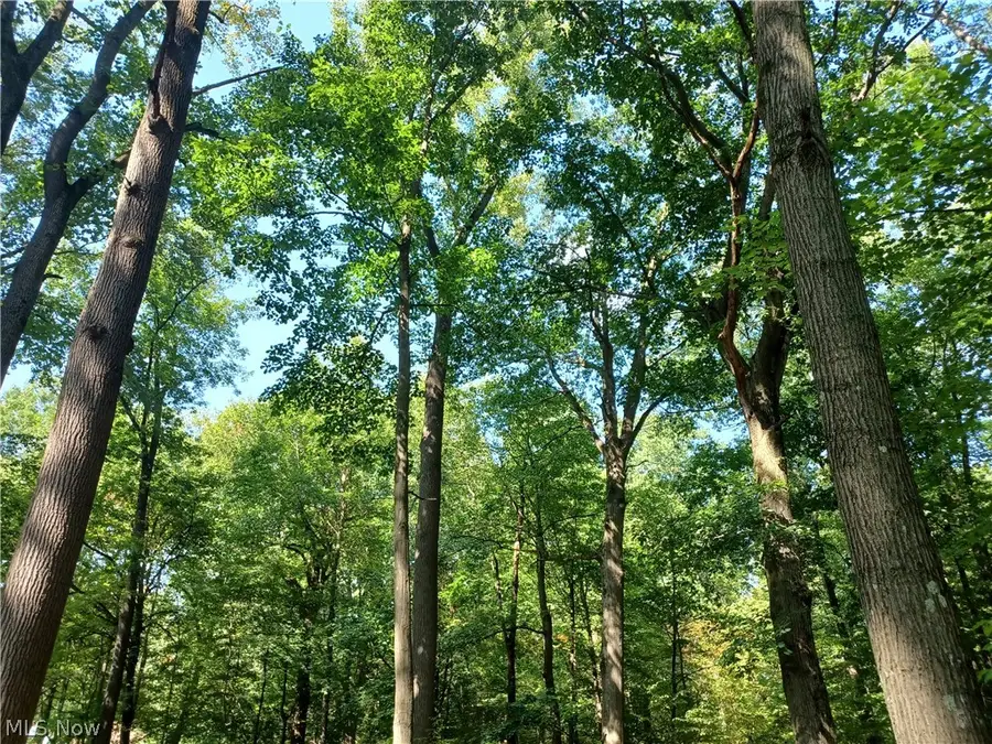 695 S Hubbard Road, Lowellville, OH 44436 - #2