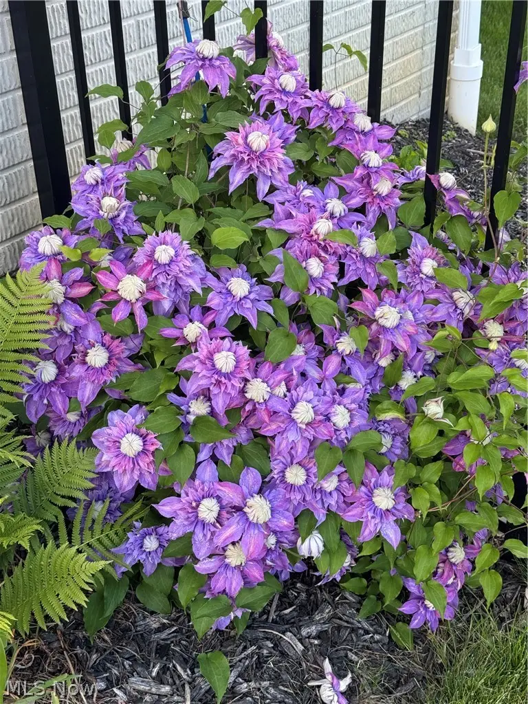 2221 Dorchester Drive, Kent, OH 44240 - #3