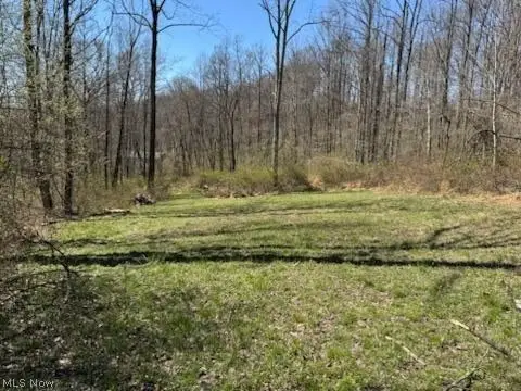 True Se Road, Uhrichsville, OH 44683 - #1