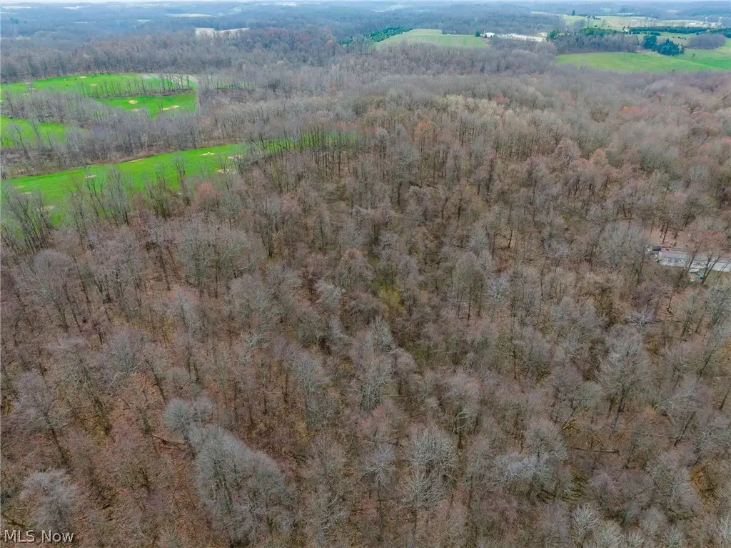 Pledge Road, Carrollton, OH 44615 - #1