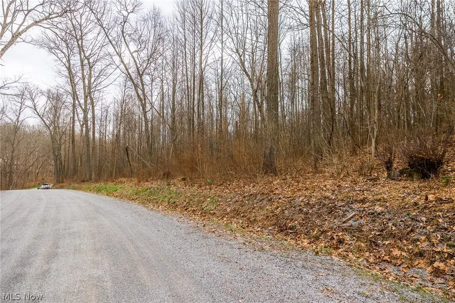 Pledge Road, Carrollton, OH 44615 - #2