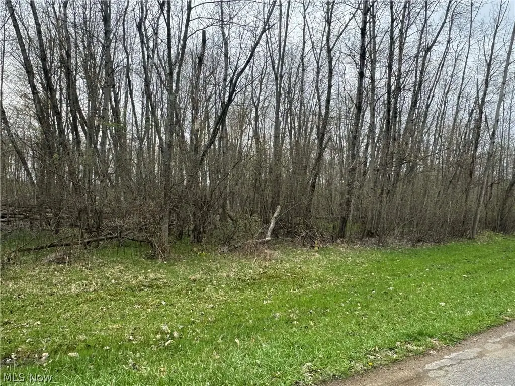 1753 Morning Star Drive, Roaming Shores, OH 44084 - #1