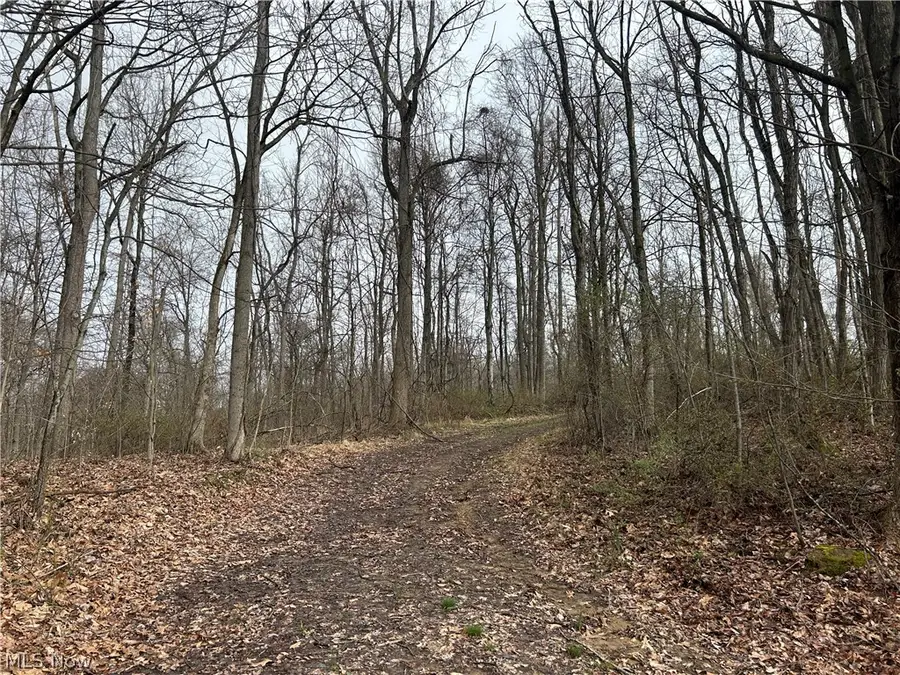 Wilbur Bush Road, York, OH 44606 - #2