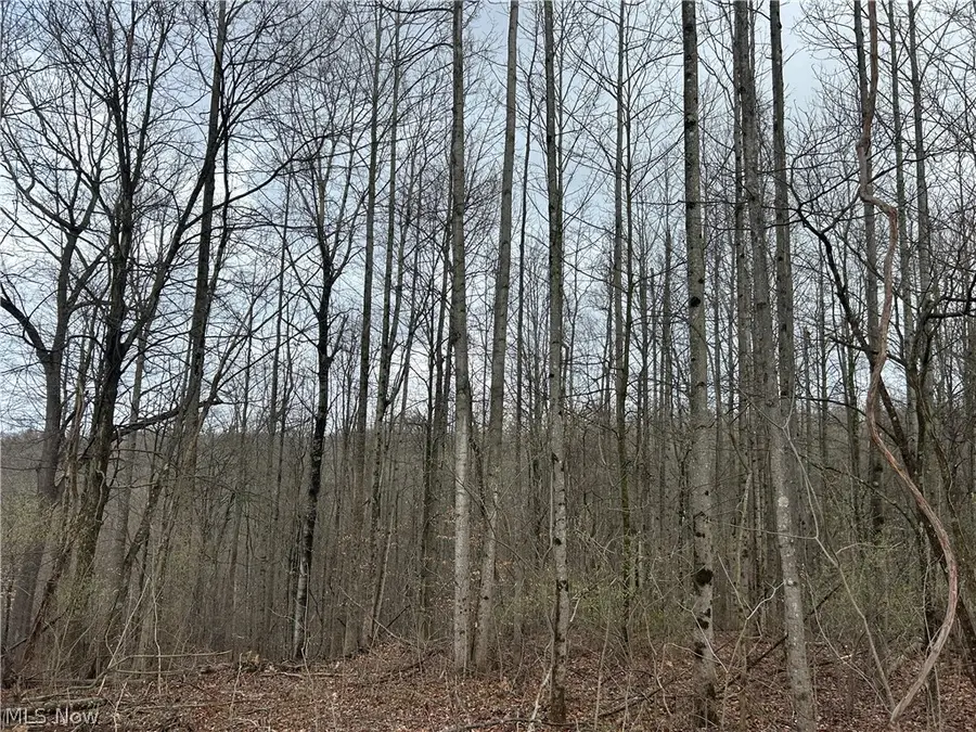 Wilbur Bush Road, York, OH 44606 - #3