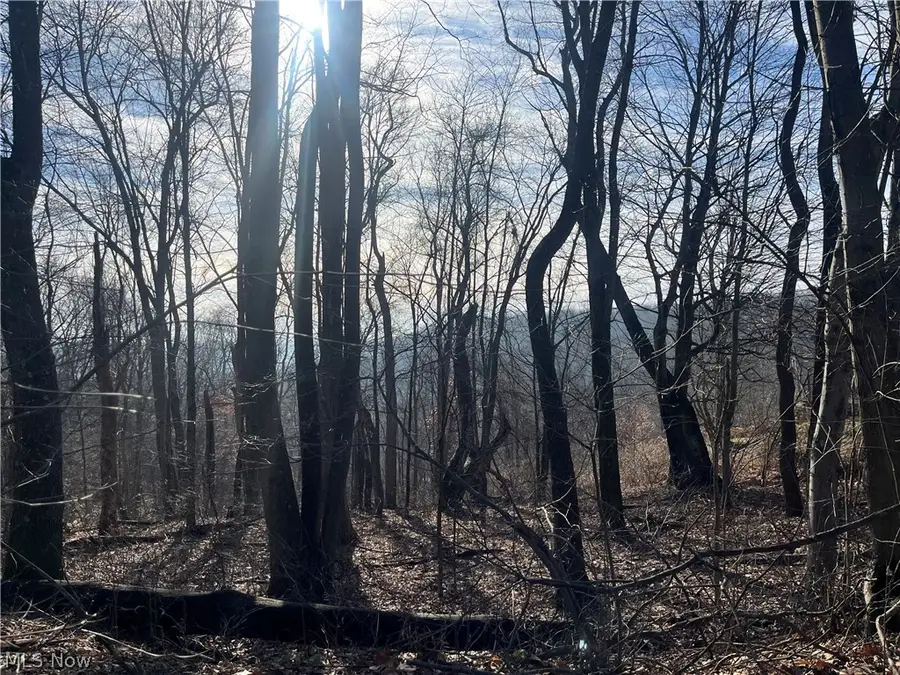 Sarah Boulevard, Toronto, OH 43964 - #3