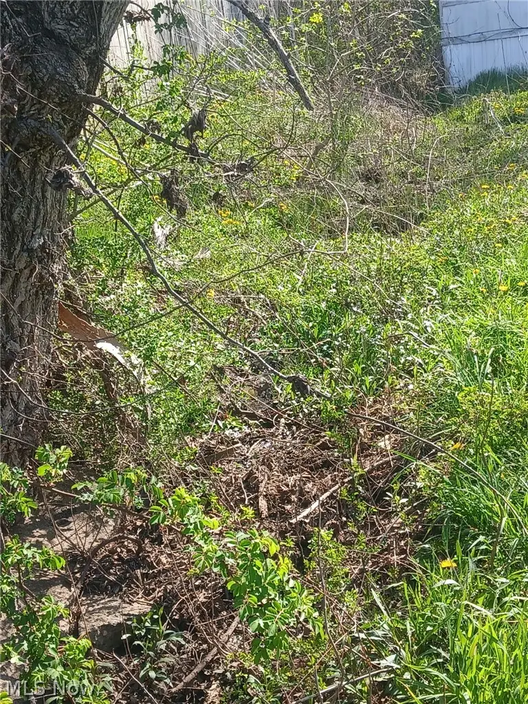 5980 State Route 60, McConnelsville, OH 43756 - #2