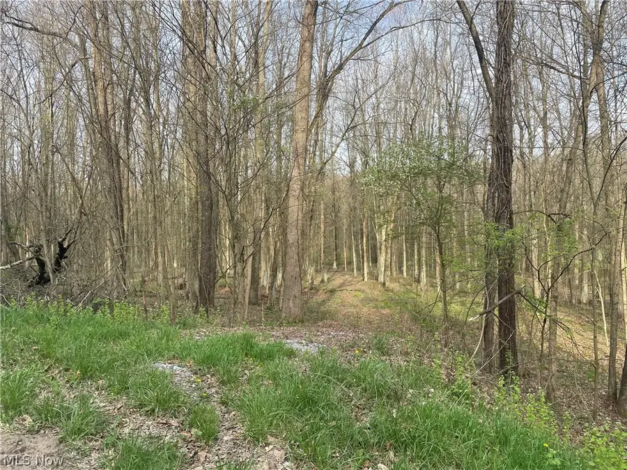 2073 Lilly Nw Road, Minerva, OH 44657 - #2