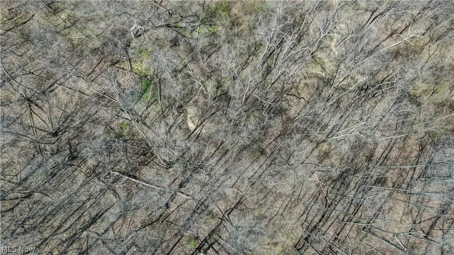 Township Road 127, Millersburg, OH 44654 - #3