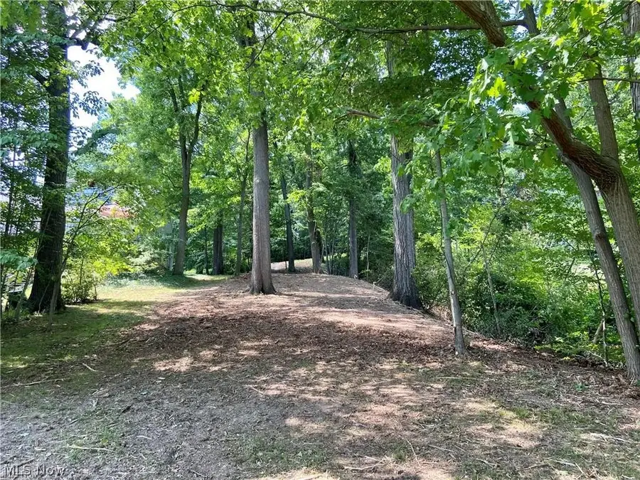 154 W Mohawk Drive, Malvern, OH 44644 - #3