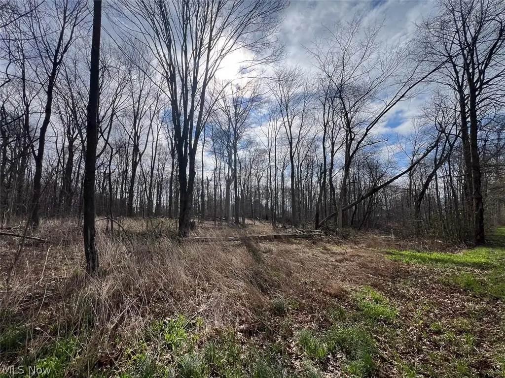 Schubert Ne Avenue, Alliance, OH 44601 - #1