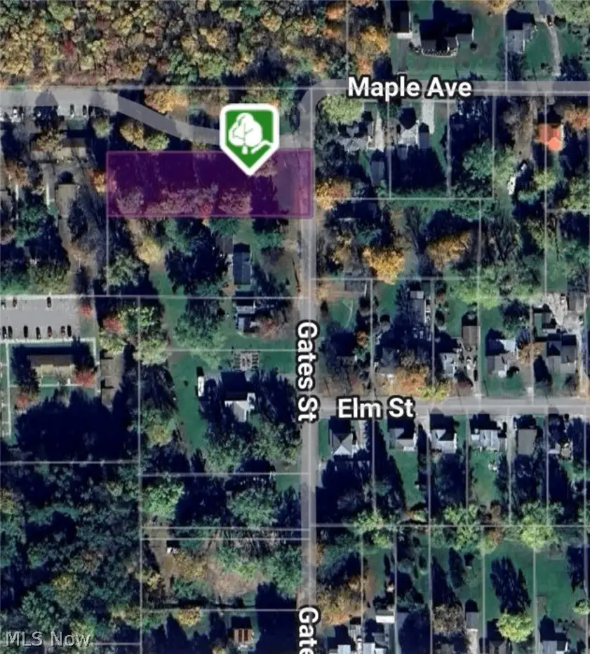 461 Gates Street, Andover, OH 44003 - #3