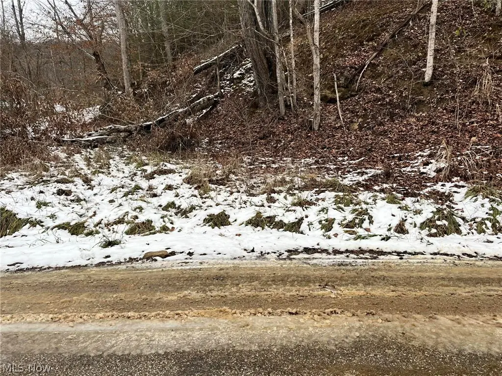 Rt 29/1 Grannies Creek Rd., Newton, WV 25266 - #1