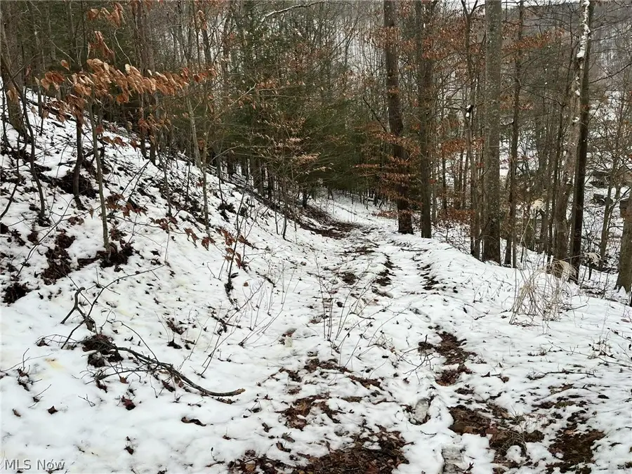 Rt 29/1 Grannies Creek Rd., Newton, WV 25266 - #3