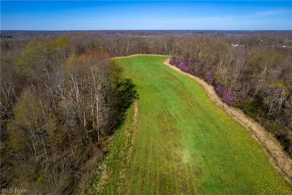 Sealover Hollow Rd Road, Philo, OH 43771