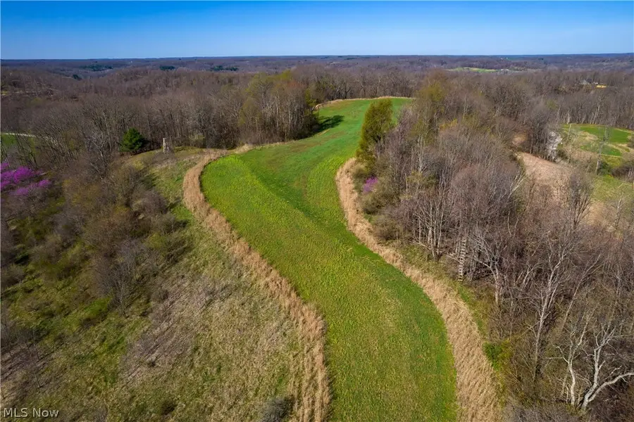 Sealover Hollow Rd Road, Philo, OH 43771 - #3