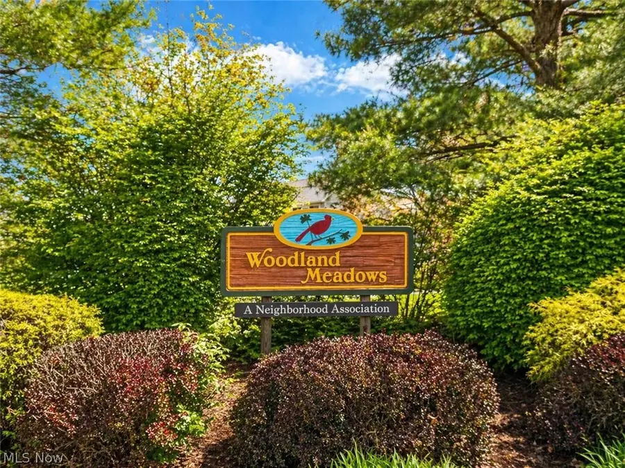 6733 Meadowood Drive, Liverpool, OH 44256 - #3