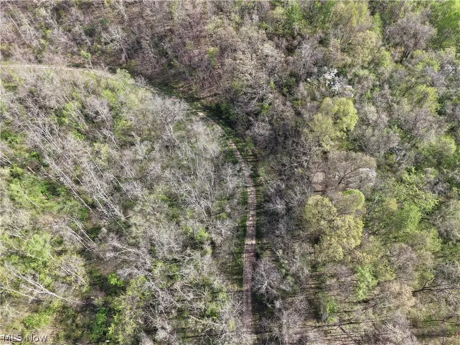 0 Harrons Ridge Road, Dexter City, OH 45727 - #2