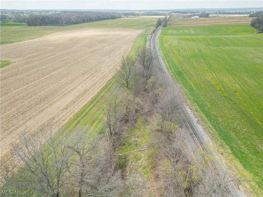 Steiner Road, Creston, OH 44217 - #2