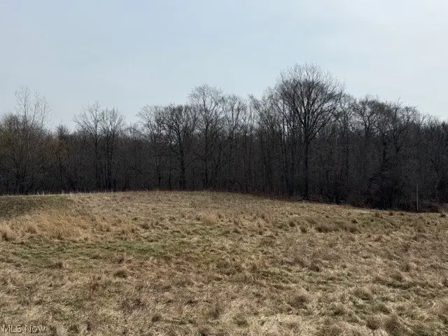 S Madison Road, Madison, OH 44057 - #1