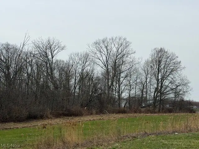 S Madison Road, Madison, OH 44057 - #3