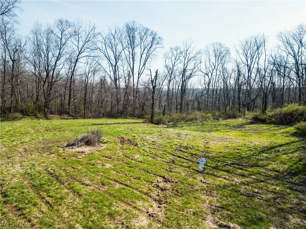 6706 Township Road 323 Road, Prairie, OH 44633 - #1