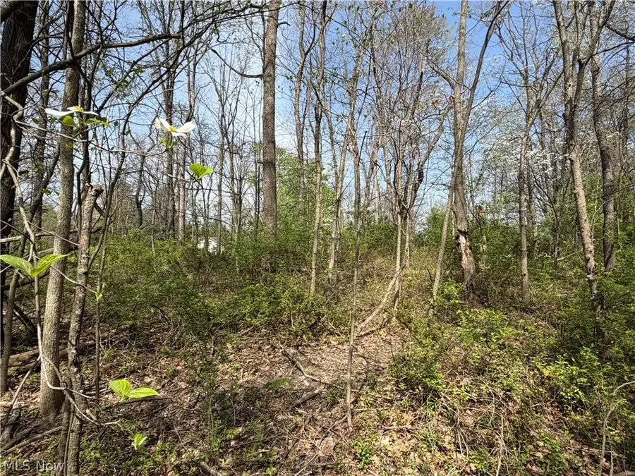 Village Se Street, Canton, OH 44707 - #2