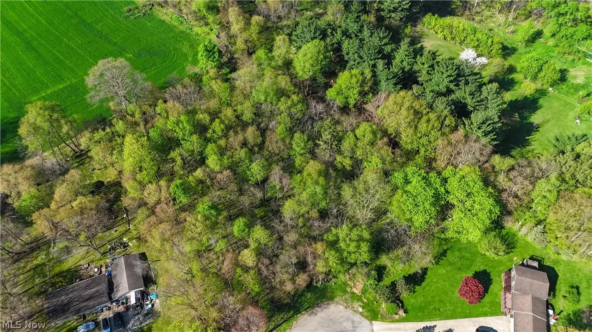 Orchard View Court #Lot 167, Howard, OH 43050 - #1