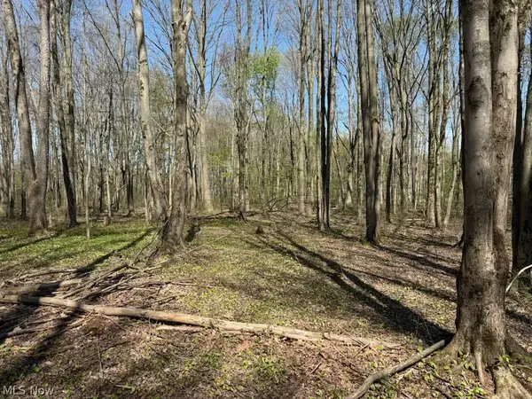 Footville Richmond Road, Jefferson, OH 44047