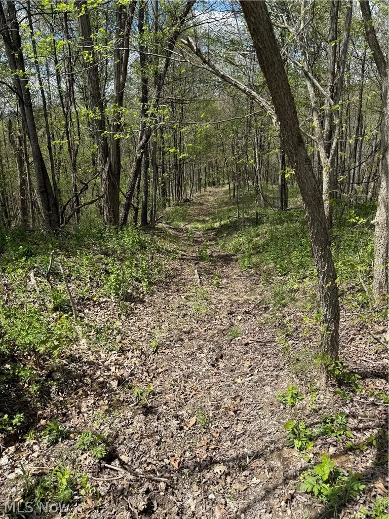 Plainview Road, Woodsfield, OH 43793 - #2