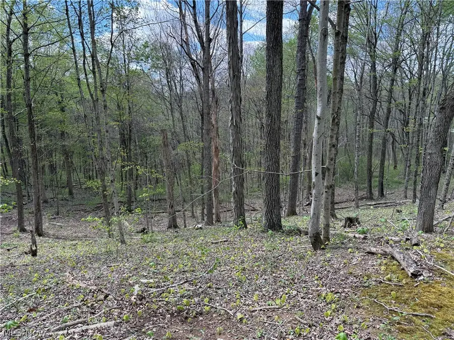 Plainview Road, Woodsfield, OH 43793 - #3