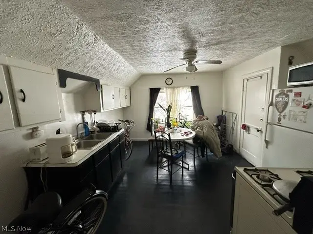 11116 Lardet Avenue, Cleveland, OH 44104 - #3