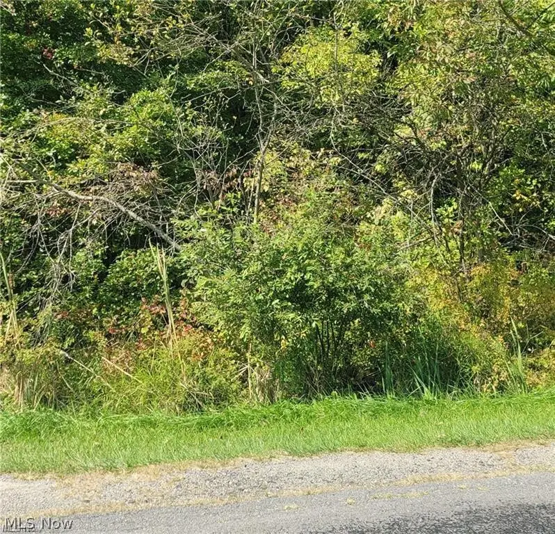 New Milford Road, Atwater, OH 44201 - #1