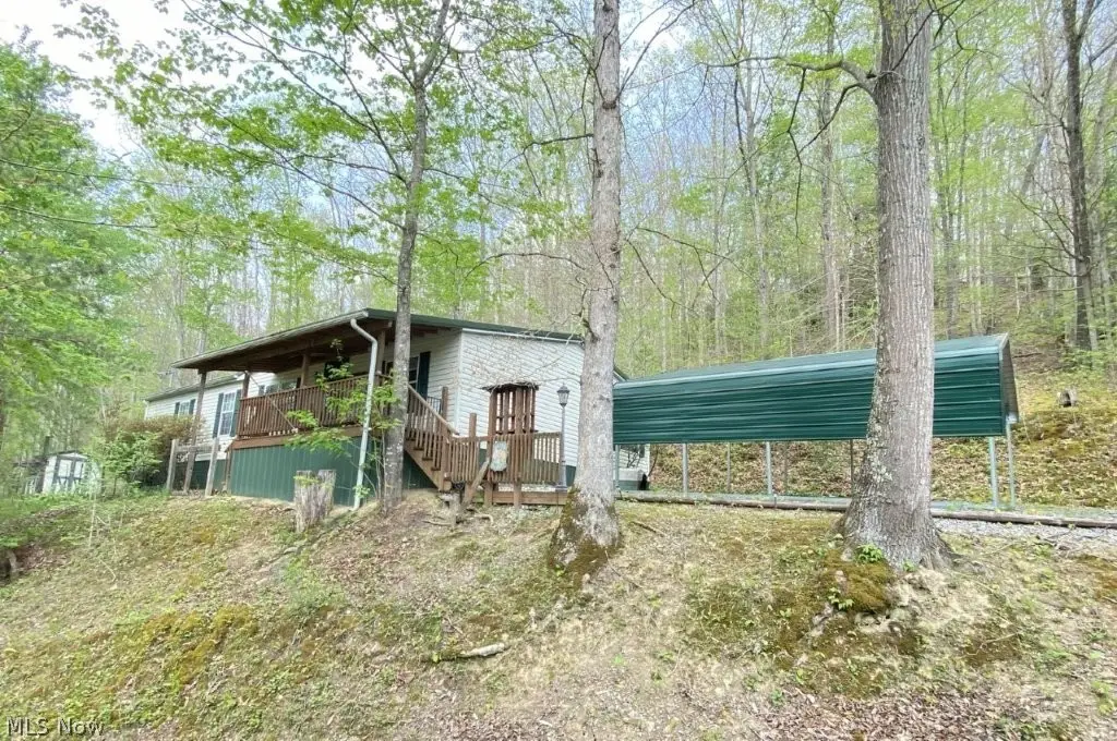 14766 Elk River Road, Duck, WV 25063 - #1