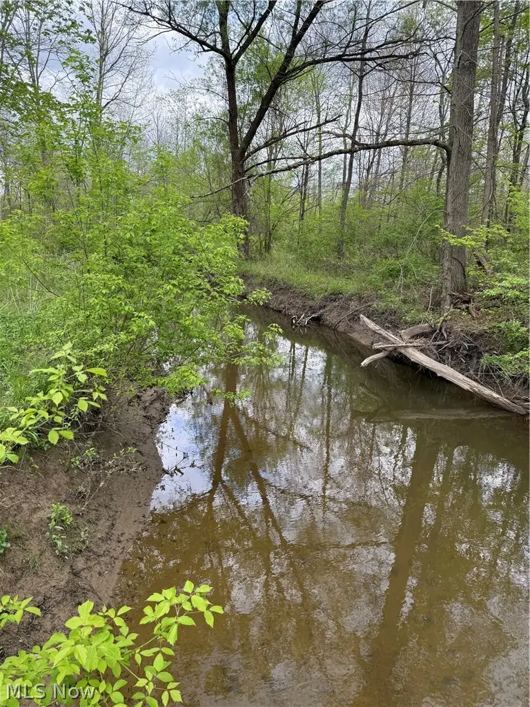 V/L Donley Road, Middlefield, OH 44062 - #2