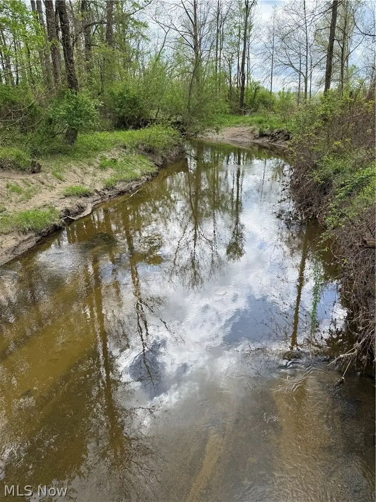V/L Donley Road, Middlefield, OH 44062 - #3