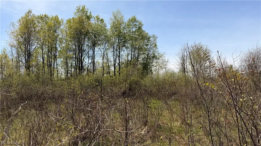 California Road, Williamsfield, OH 44093 - #3