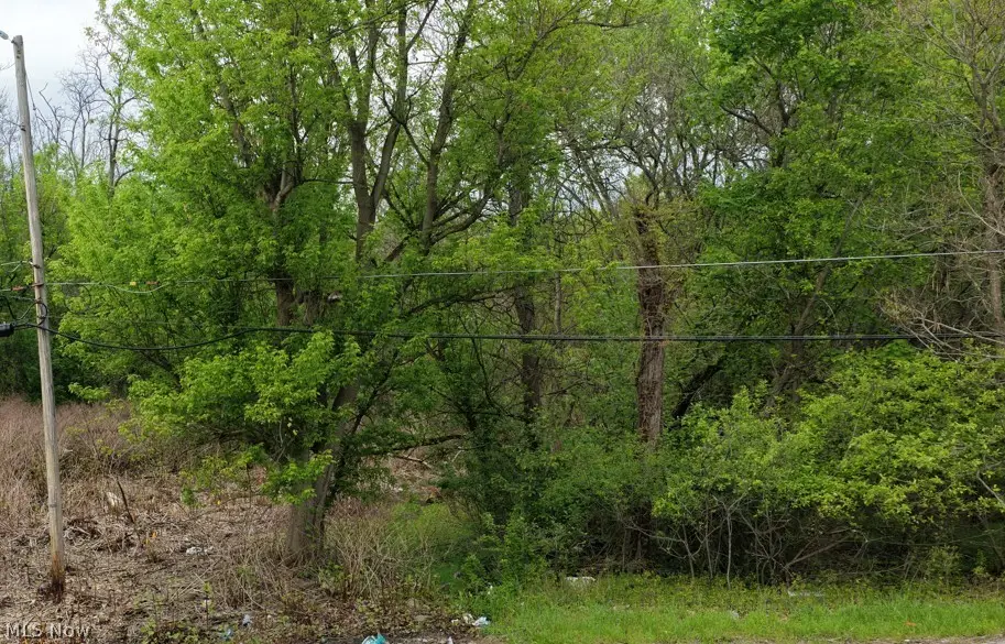 Montgomery Avenue, Campbell, OH 44506 - #1