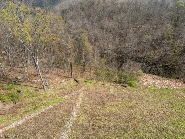 0 E Captina Highway Road, Alledonia, OH 43902