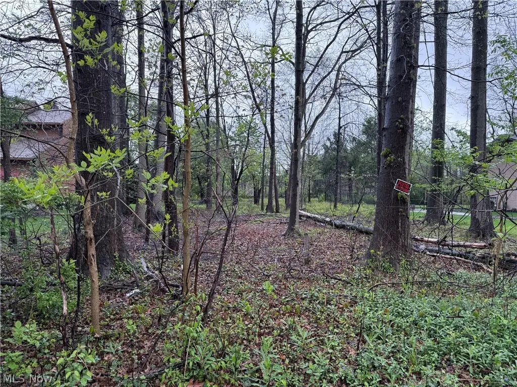 Vincent Road, Silver Lake, OH 44224 - #1