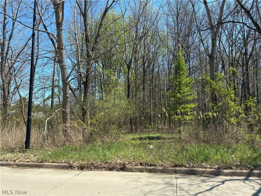 Sferra Avenue, Warren, OH 44483 - #1