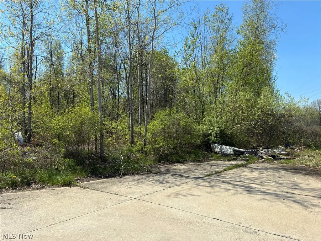 Sferra Avenue, Warren, OH 44483 - #1