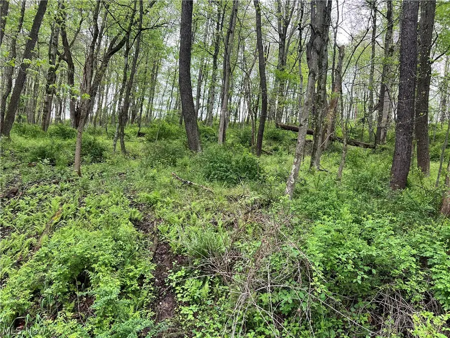 Westbrook Se Street, Magnolia, OH 44643 - #3
