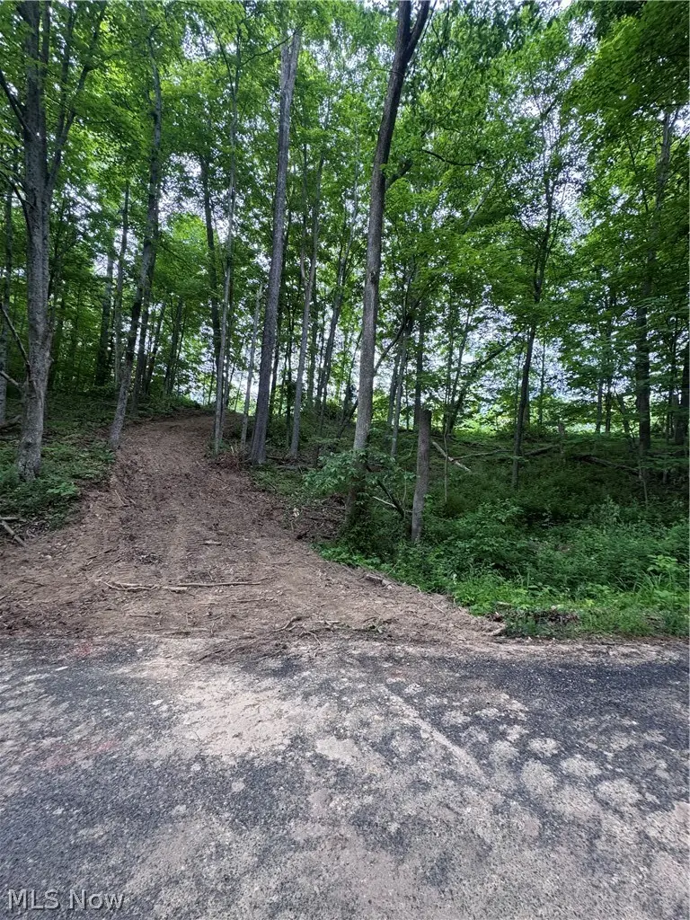 Walker Hill Road #10.11, Stockport, OH 43787 - #1