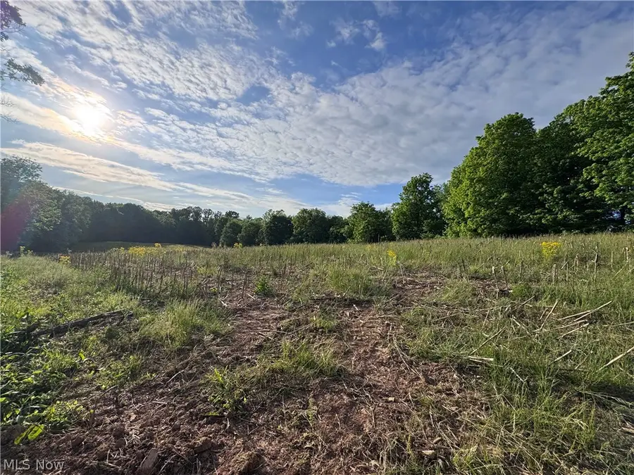 Walker Hill Road #11.03, Stockport, OH 43787 - #2