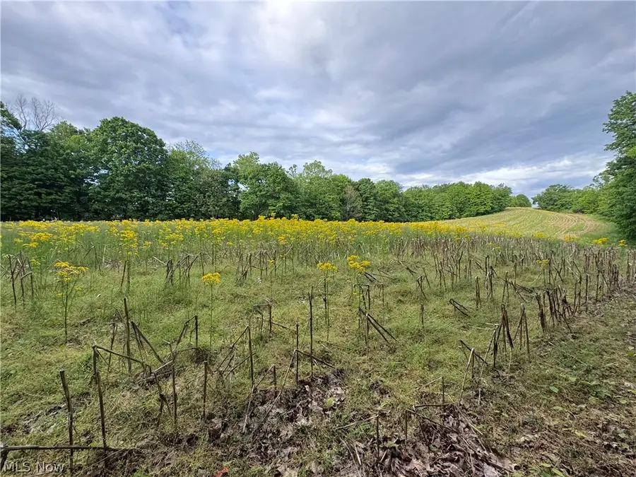 Walker Hill Road #11.03, Stockport, OH 43787 - #3