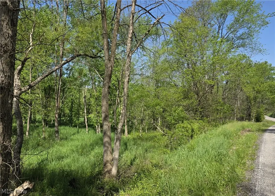 6820 Crane Run Road, Cumberland, OH 43732 - #3