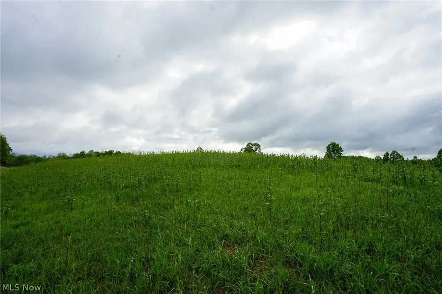 Van Fossen Ln, Chesterhill, OH 43728 - #2